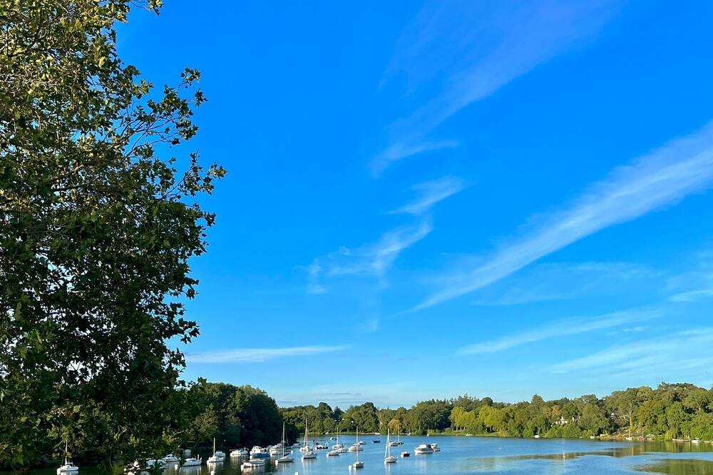 Photo of Others in Suce-sur-Erdre