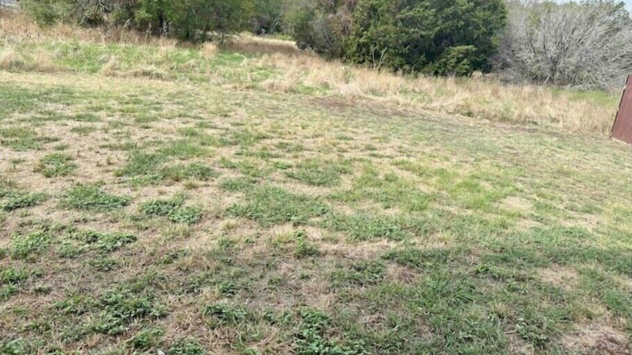 Photo of Others in Copperas Cove
