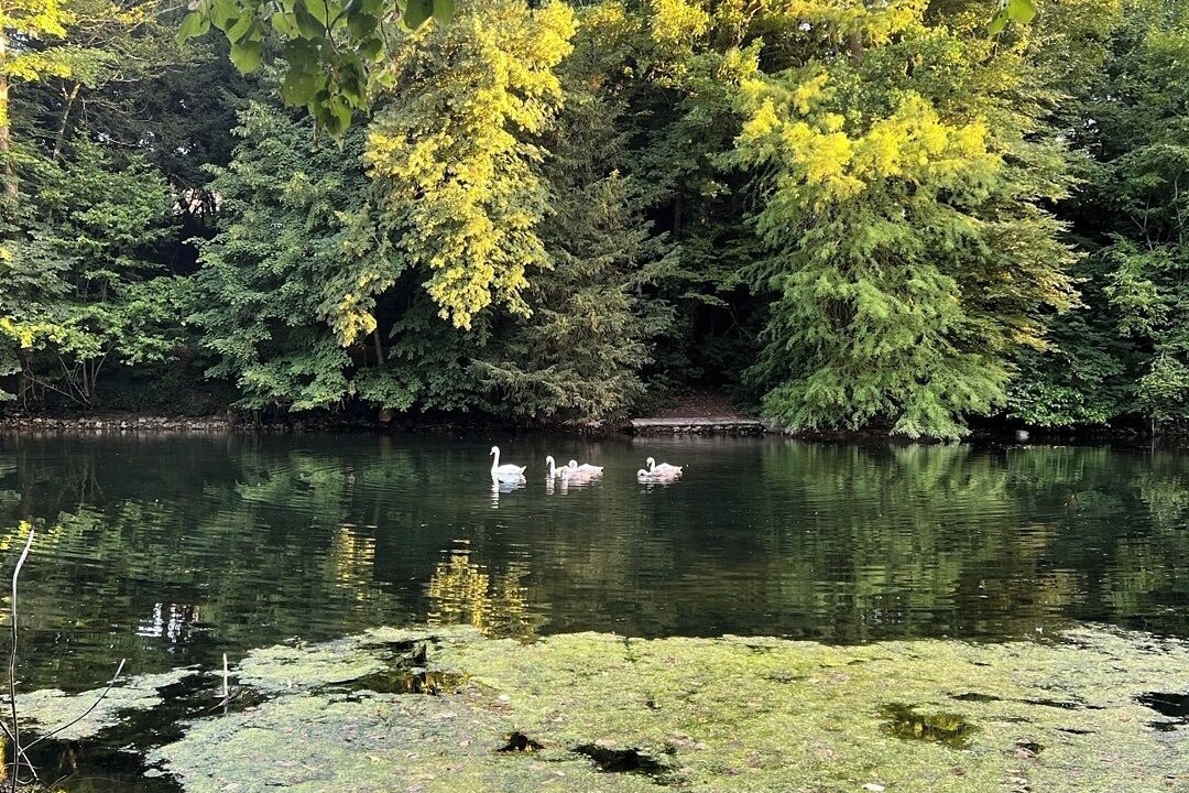 Photo of Outdoor in Olivet