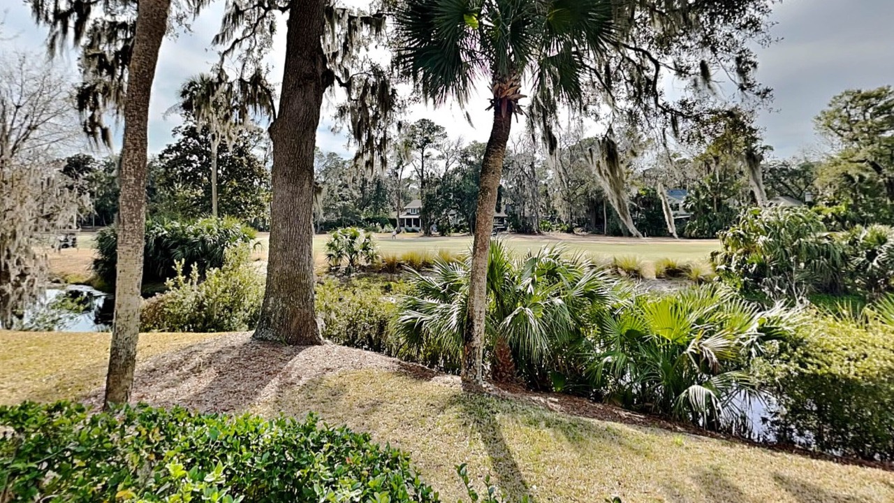 Photo of Outdoor in Shipyard Plantation