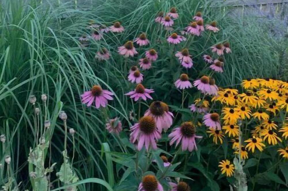 Photo of Outdoor in Town of Marbletown