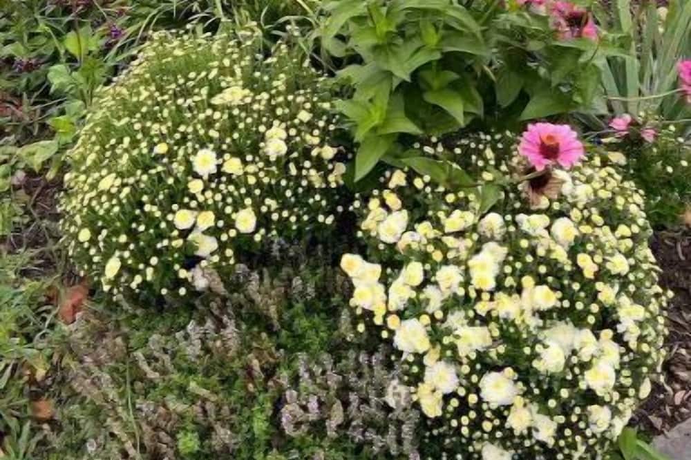 Photo of Outdoor in Town of Marbletown