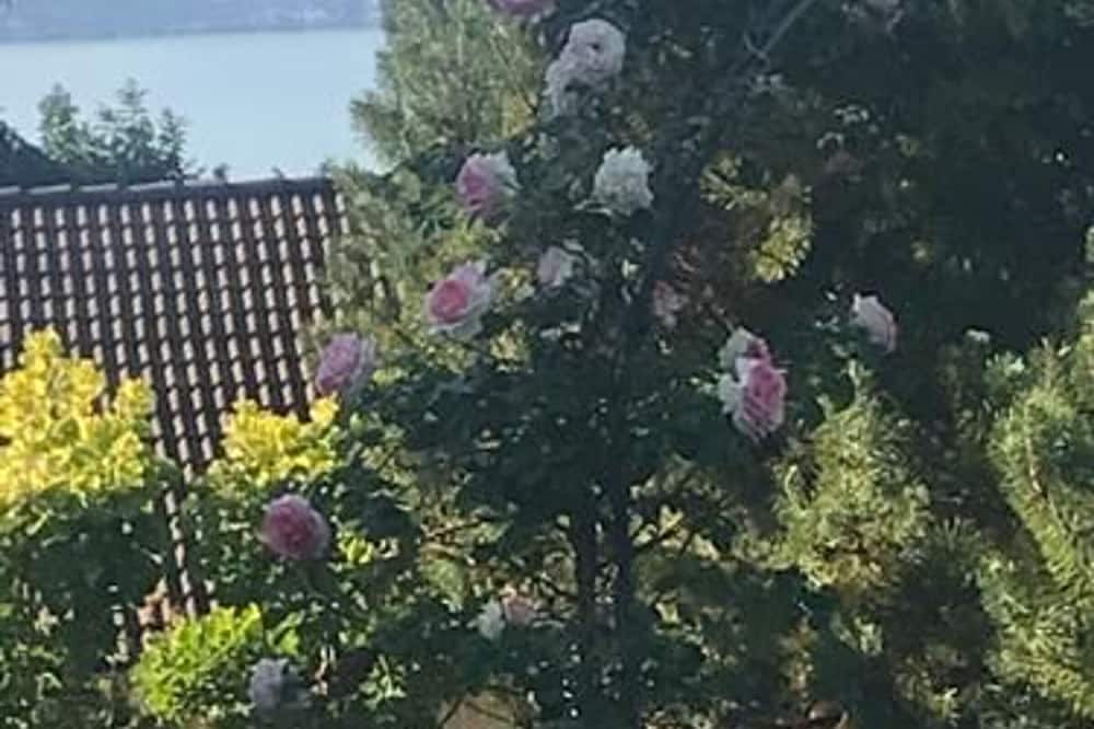 Photo of Others in Lugrin