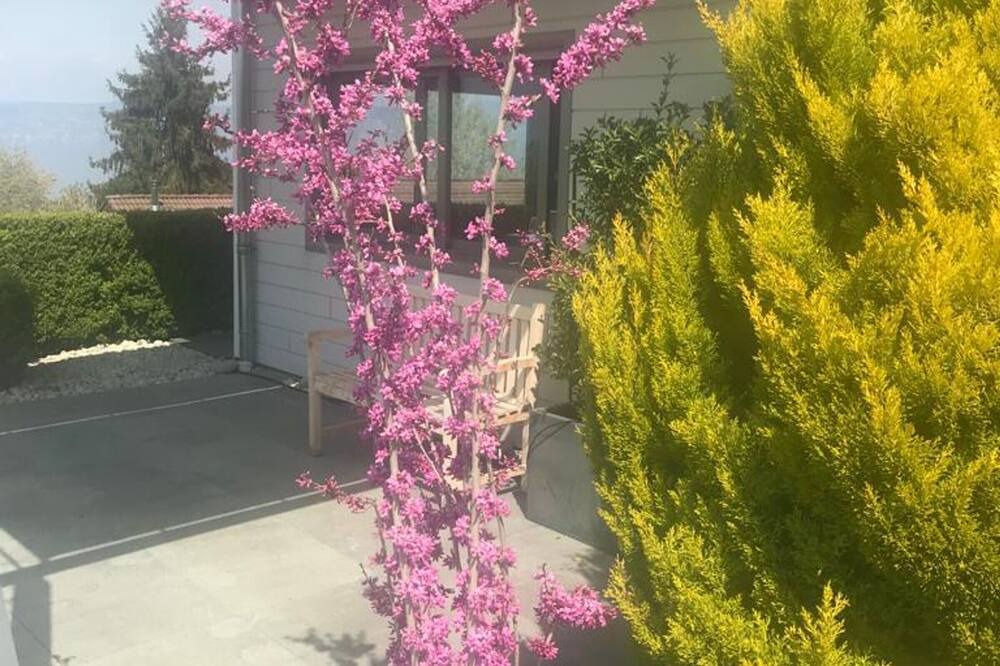 Photo of Outdoor in Lugrin