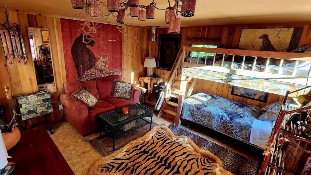 Photo of Livingroom in Eatonville