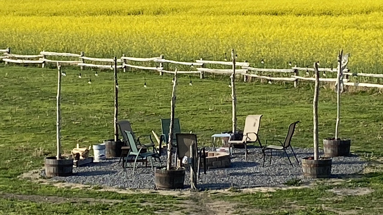Photo of Outdoor in Wellington