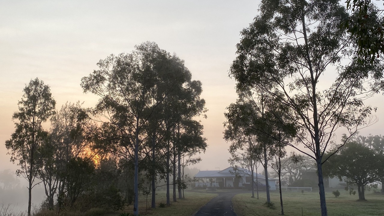 Photo of Others in Gundurimba