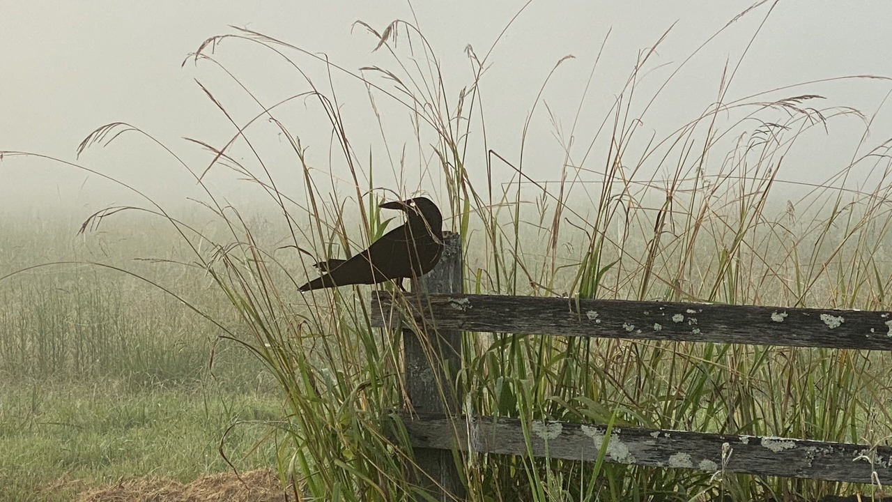 Photo of Outdoor in Gundurimba