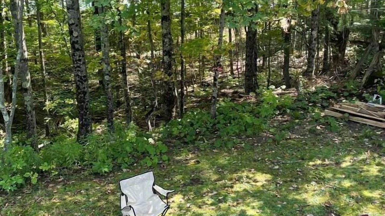 Photo of Outdoor in Magog