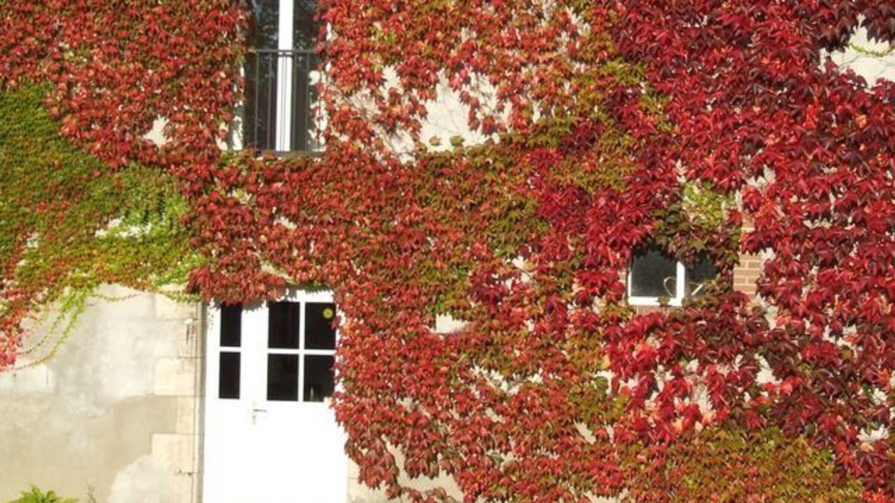 Photo of Outdoor in Ouzouer-sur-Trezee