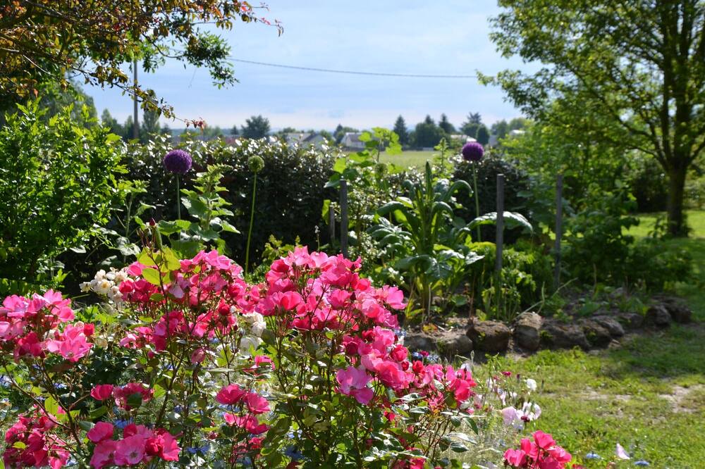 Photo of Outdoor in Chilleurs-aux-Bois