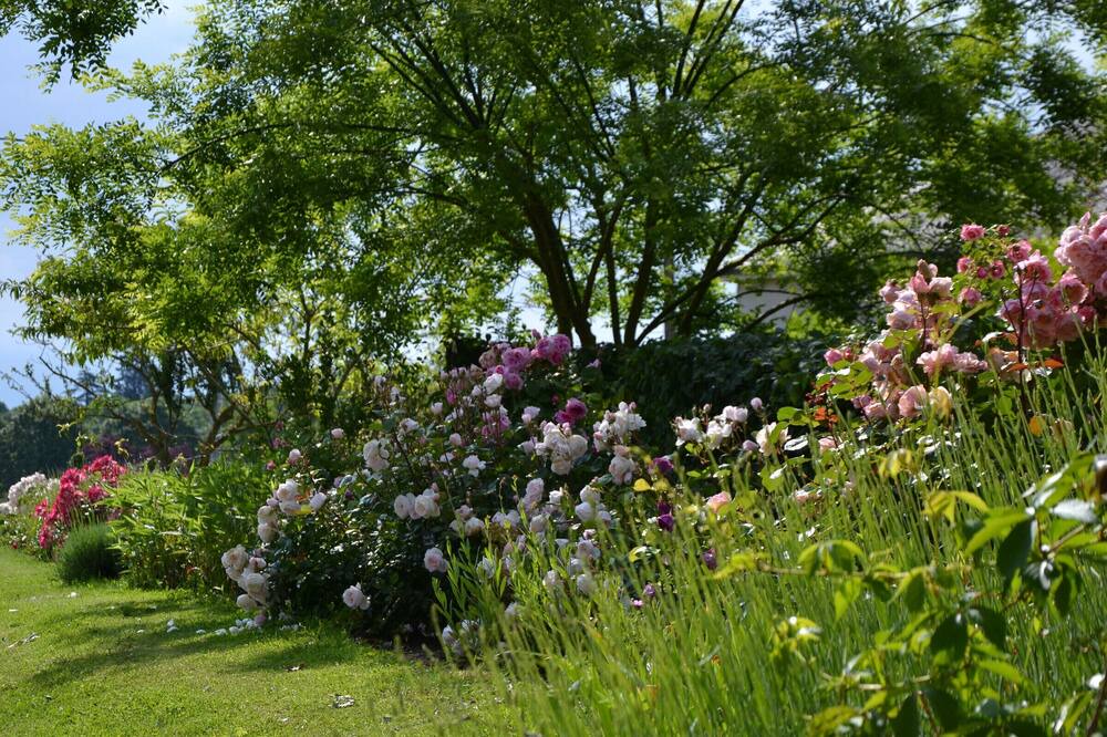 Photo of Outdoor in Chilleurs-aux-Bois