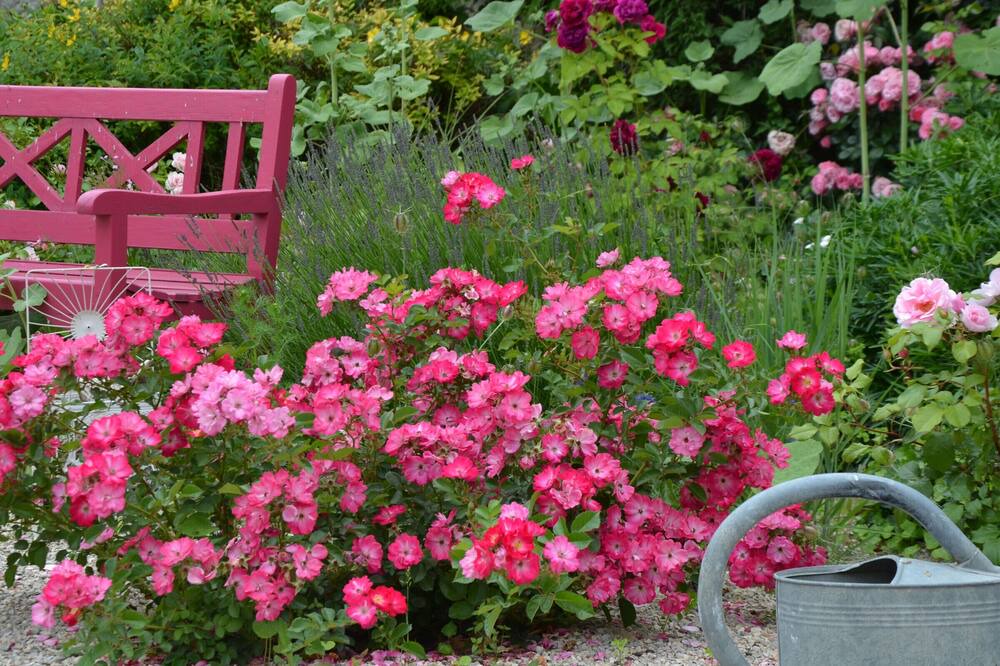 Photo of Outdoor in Chilleurs-aux-Bois