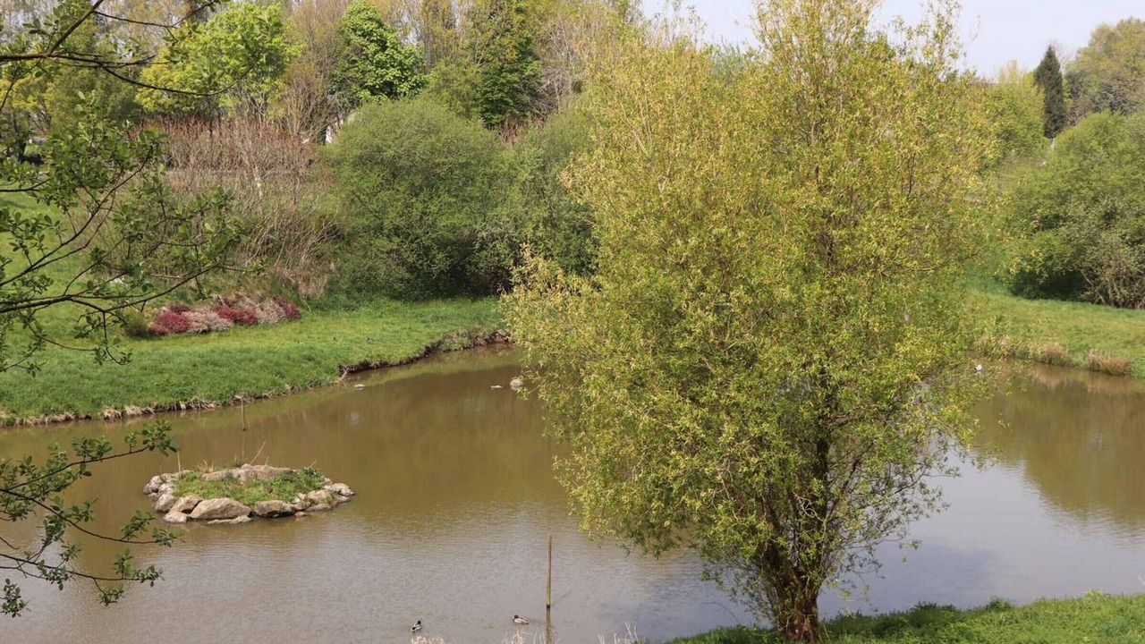 Photo of Others in Athis-Val de Rouvre