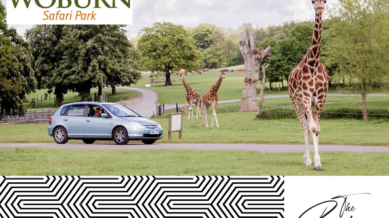 Photo of Others in Woburn Sands