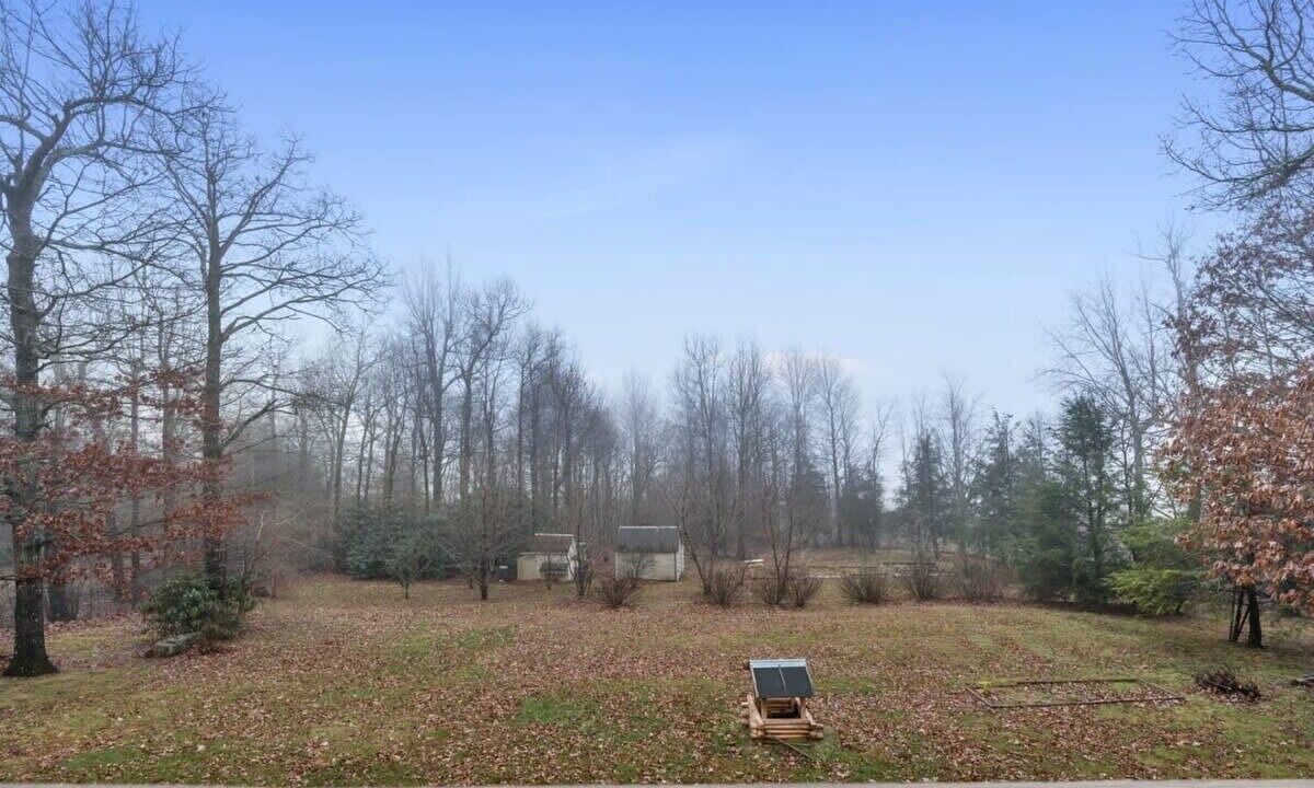 Photo of Others in Lynn
