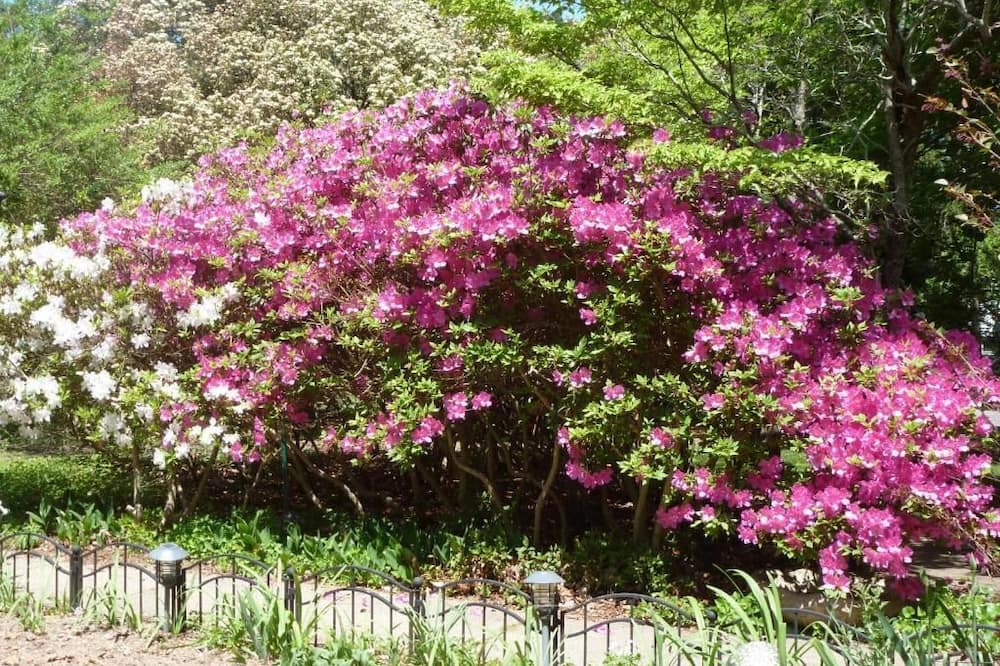 Photo of Outdoor in Galilee