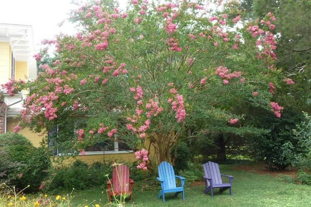 Photo of Outdoor in Galilee