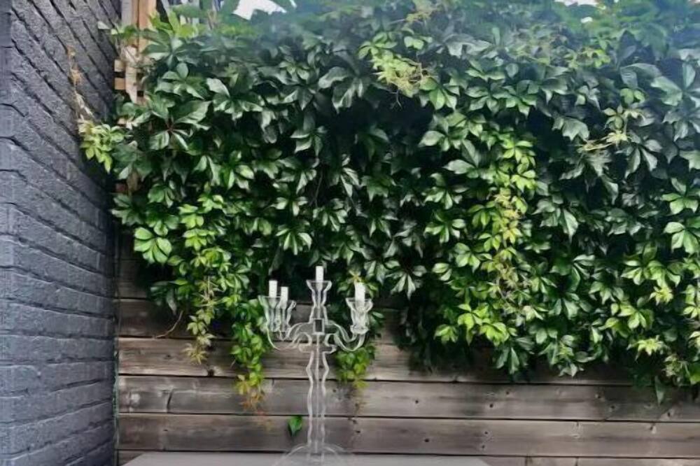 Photo of Outdoor in Saint Clair West Village