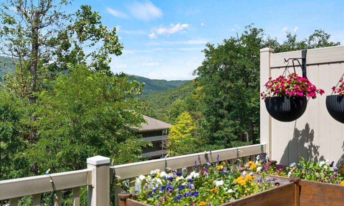 Photo of Outdoor in Massanutten