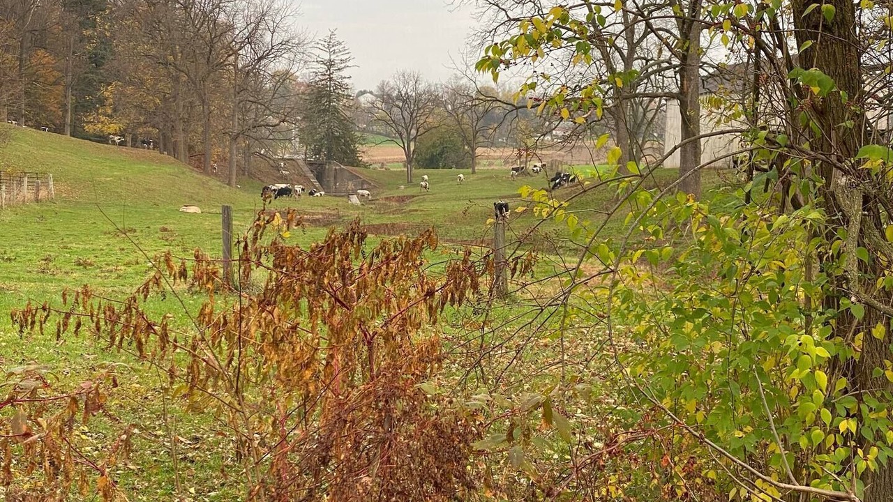 Photo of Outdoor in Akron
