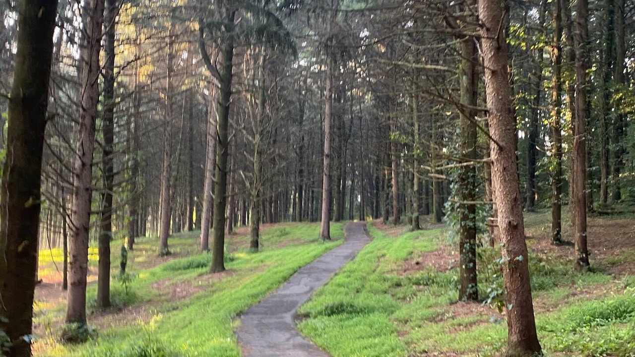 Photo of Outdoor in Akron