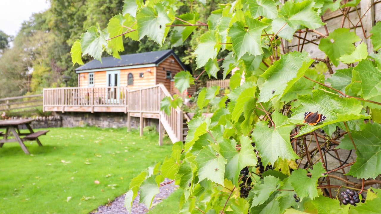 Photo of Outdoor in Caersws