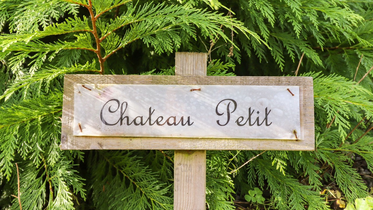 Photo of Outdoor in Caersws