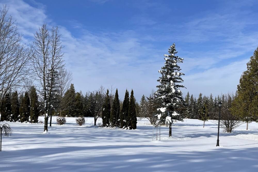Photo of Others in Lindsay