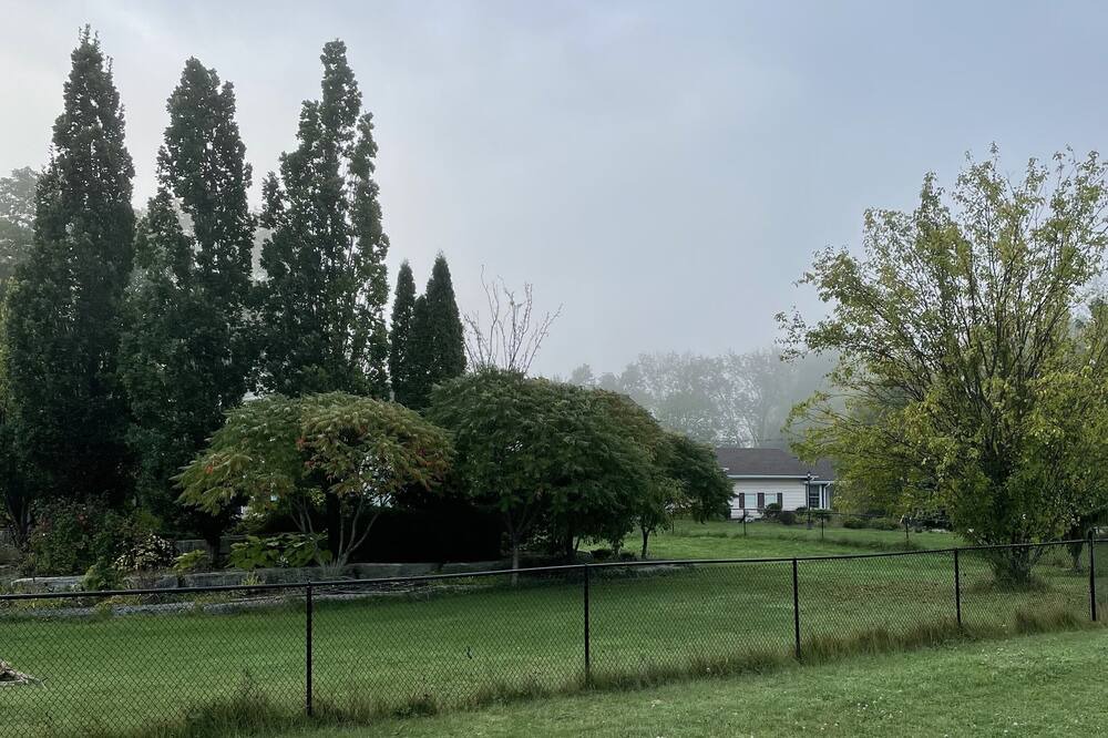 Photo of Others in Lindsay