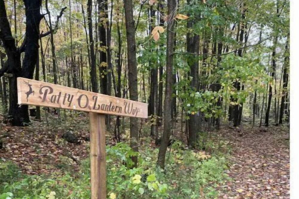 Photo of Outdoor in Grey Highlands