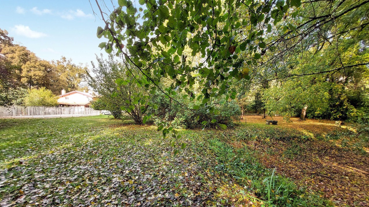 Photo of Outdoor in Noaillan