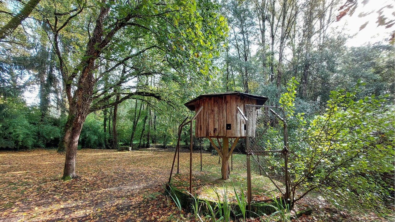 Photo of Outdoor in Noaillan