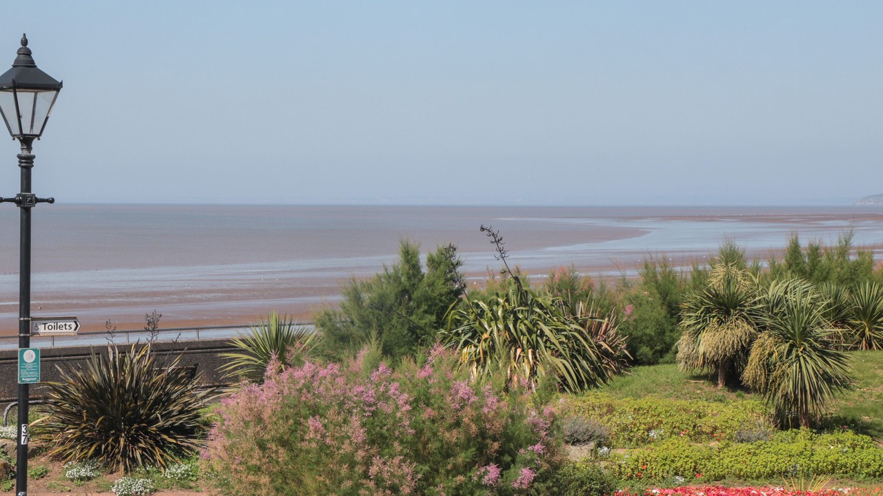 Photo of Others in Burnham-on-Sea