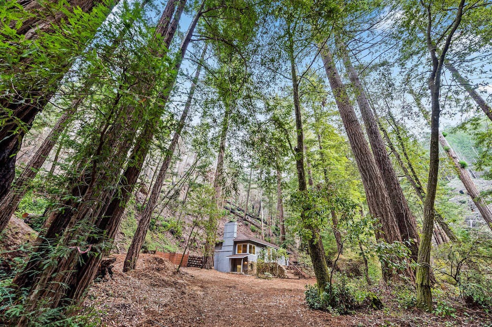 Photo of Others in Pescadero