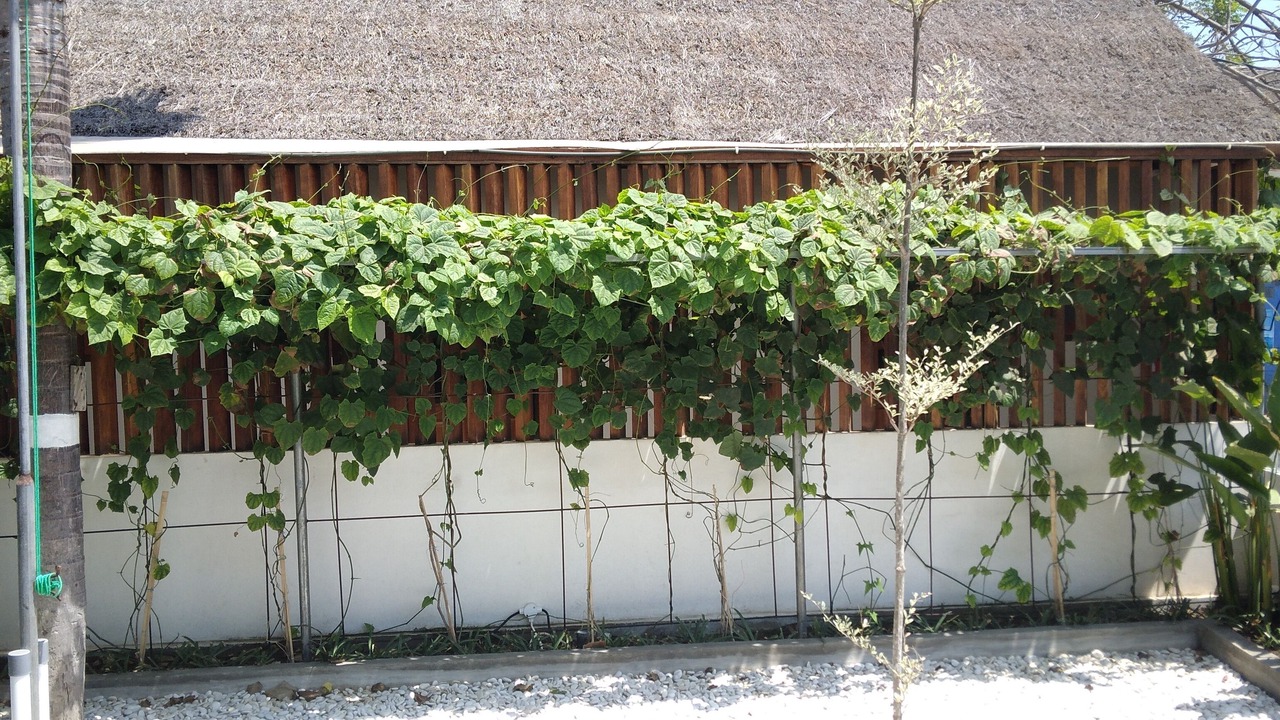 Photo of Outdoor in Gili Trawangan