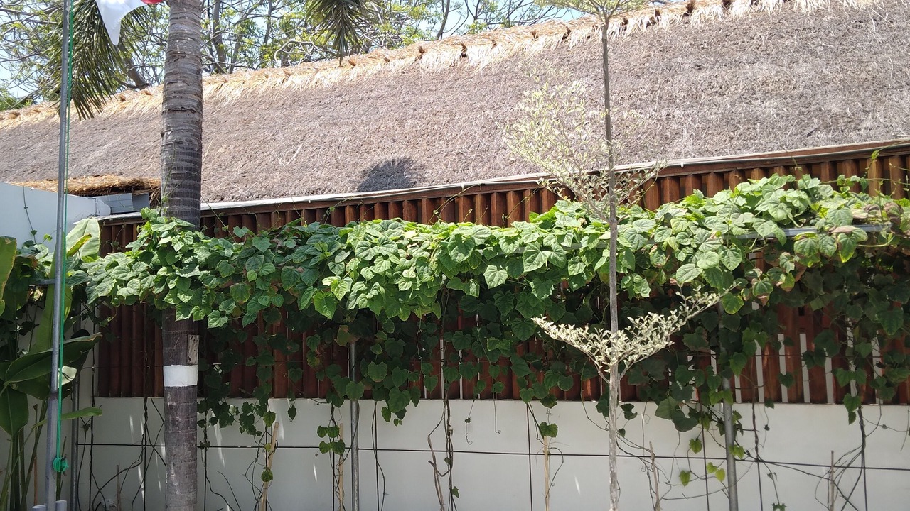 Photo of Outdoor in Gili Trawangan