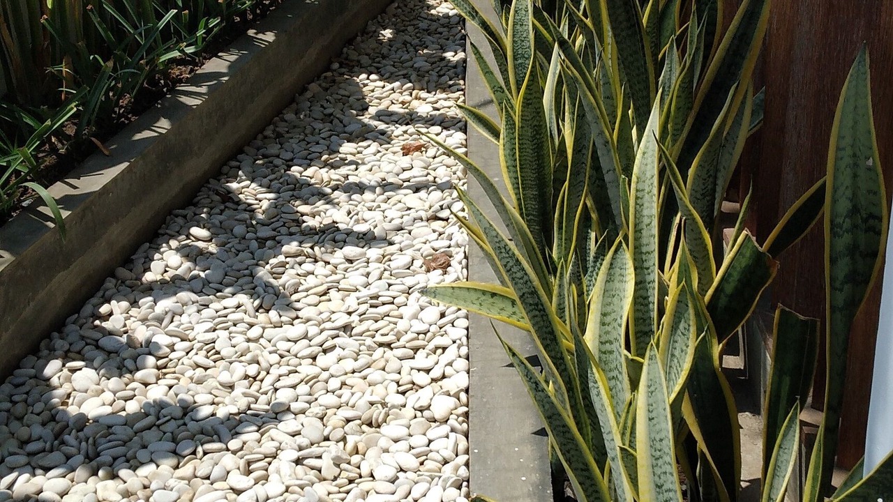 Photo of Outdoor in Gili Trawangan