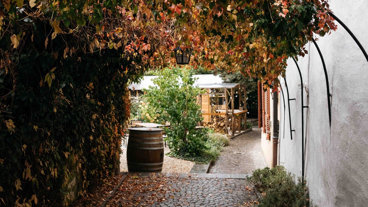 Photo of Outdoor in Aubonne