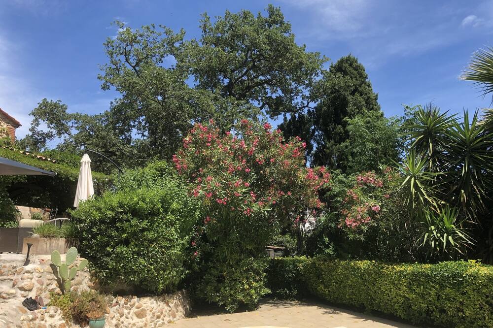 Photo of Outdoor in Pollestres