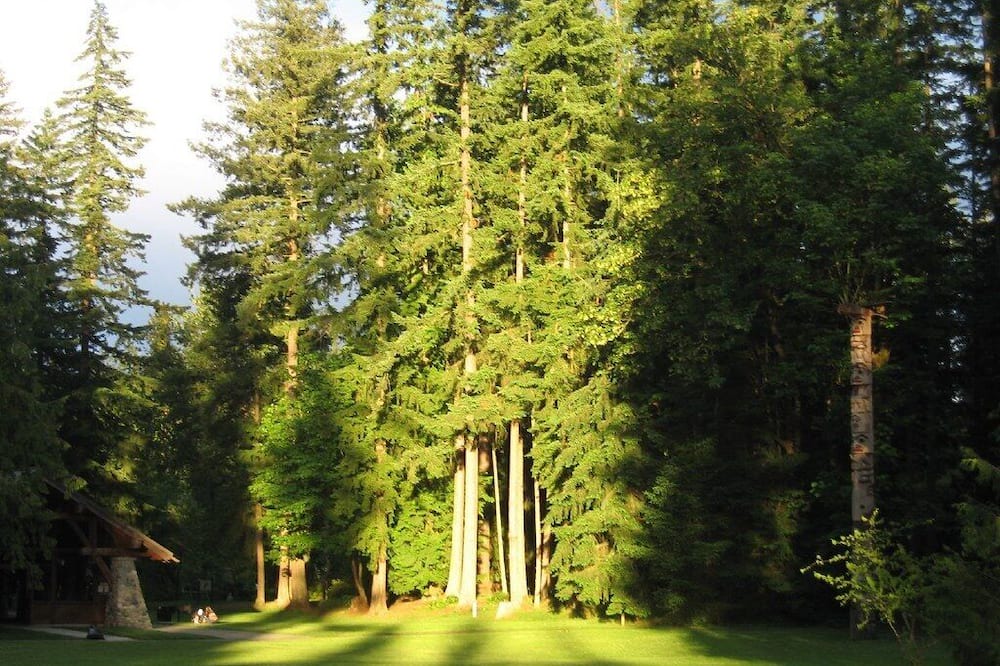 Photo of Others in Sammamish