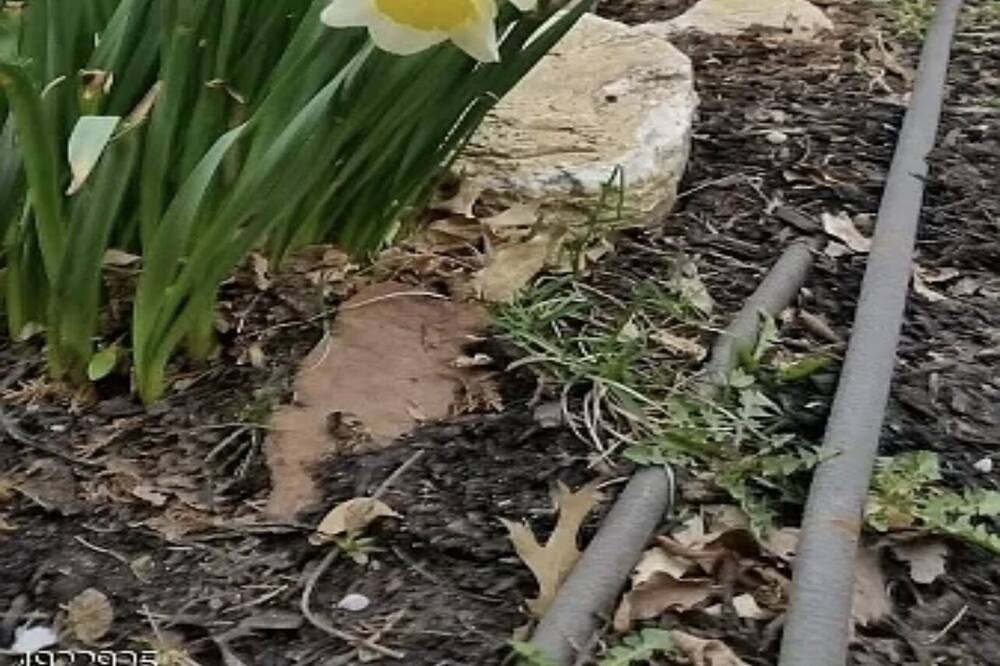 Photo of Outdoor in Roselle