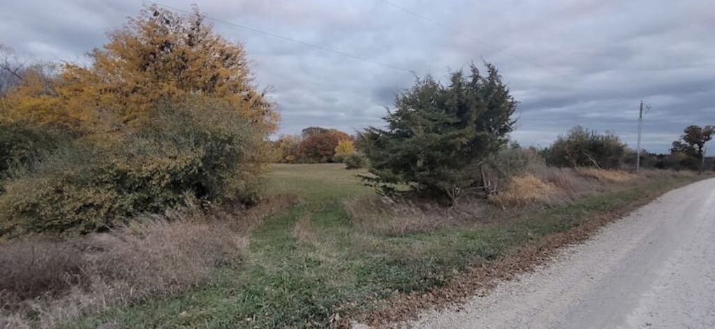 Photo of Outdoor in Adel