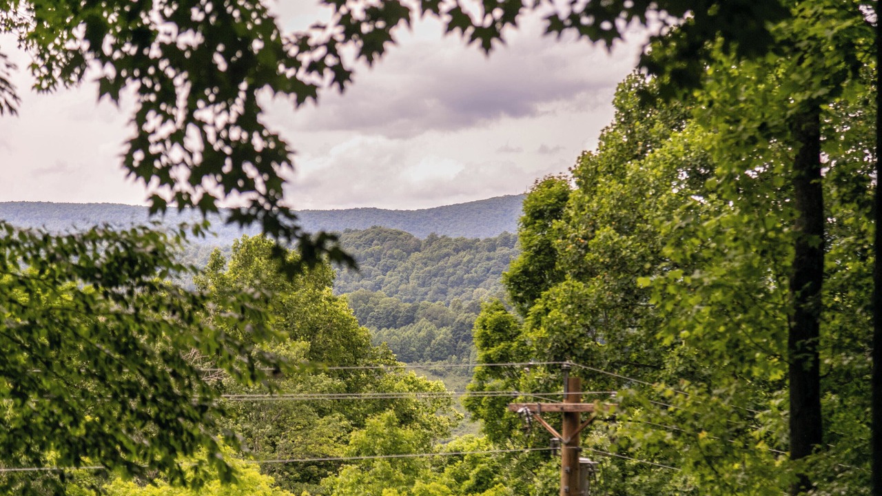 Photo of Outdoor in Zionville