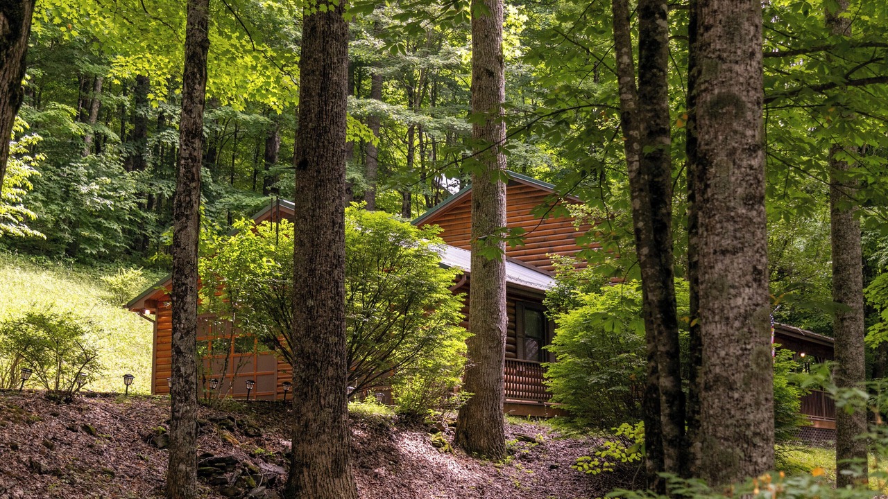 Photo of Outdoor in Zionville