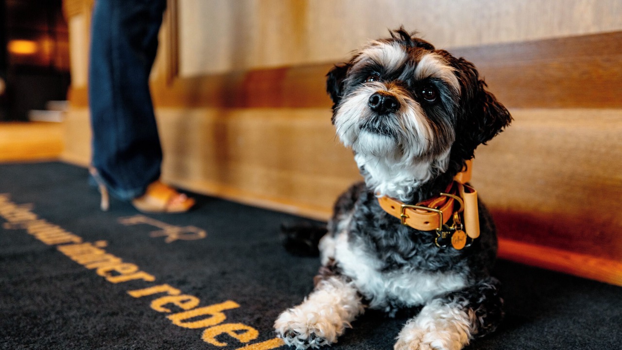 Photo of Others in Downtown Boise