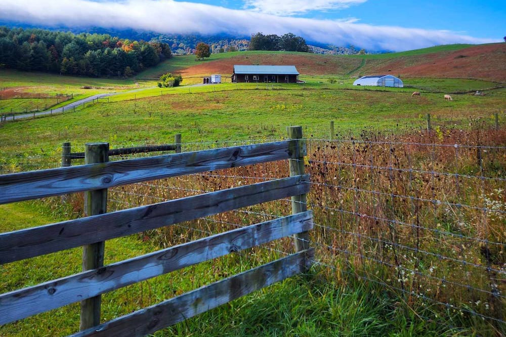 Photo of Outdoor in Craig Creek