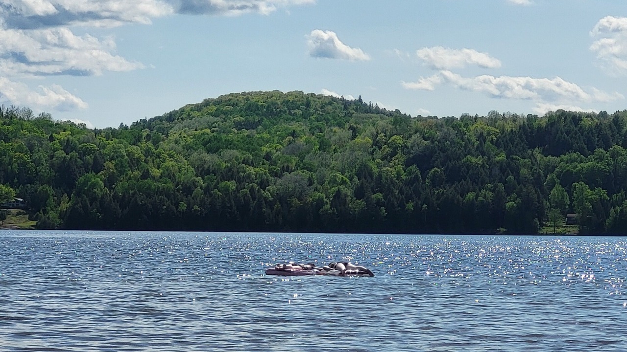 Photo of Others in Madawaska Valley