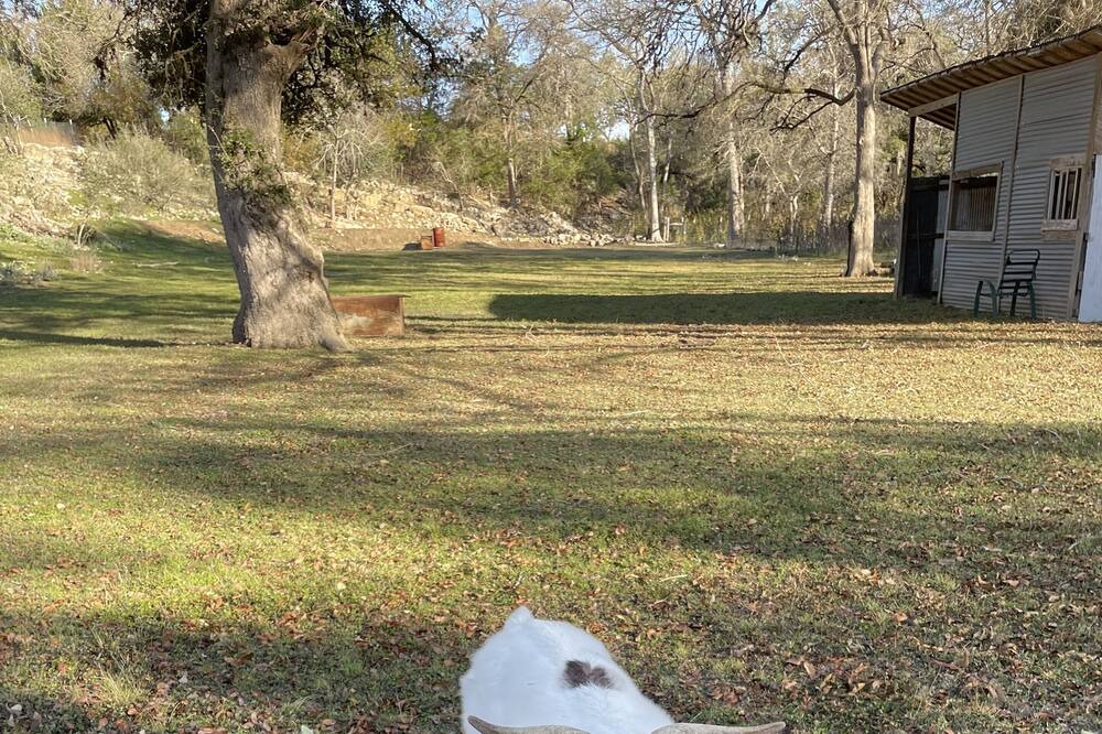 Photo of Outdoor in Spring Branch