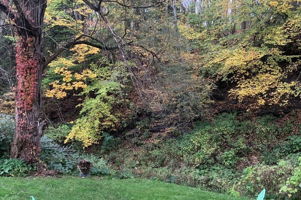 Photo of Outdoor in Van Hornesville